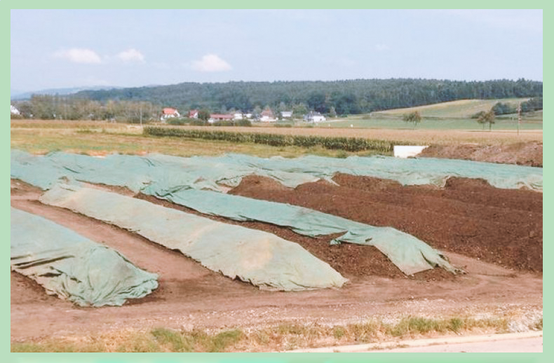 Природний холодильник, кращий за льох. Що таке бурт і як його зробити на городі